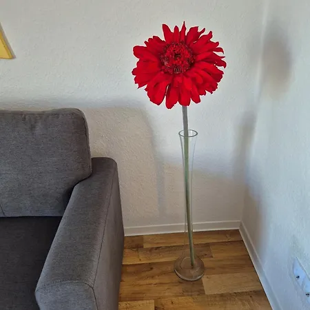 Picco 2 * Beuren (Cochem-Zell)